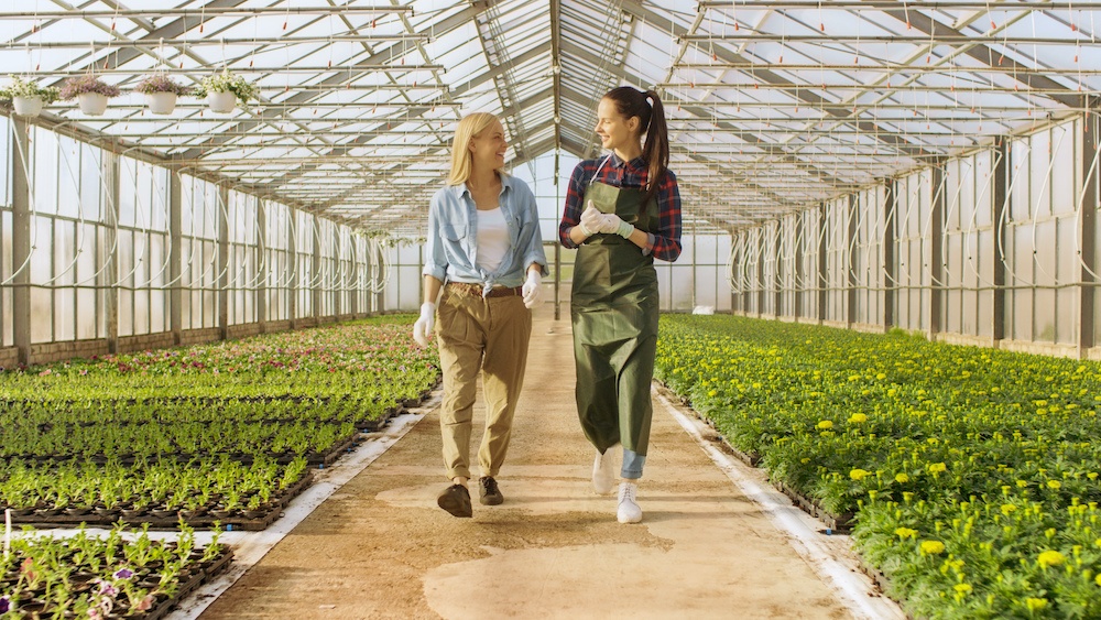 Two female gardeners walking through the greenhouse where they work.